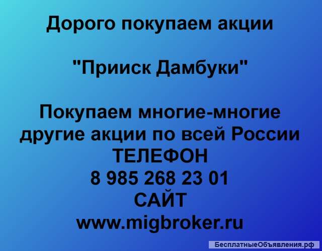 Покупаем акции Прииск Дамбуки и любые другие акции по всей России