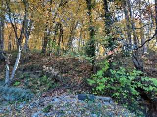 Земельного участка 15.5 сот в Хосте