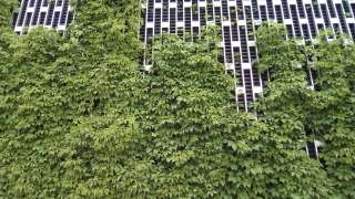 Цоколь 5-этажки, 37,2 м