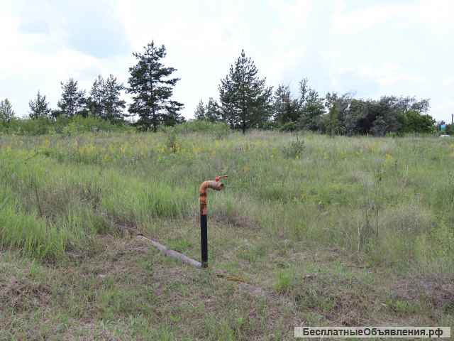 Земельный участок в сот Технолог