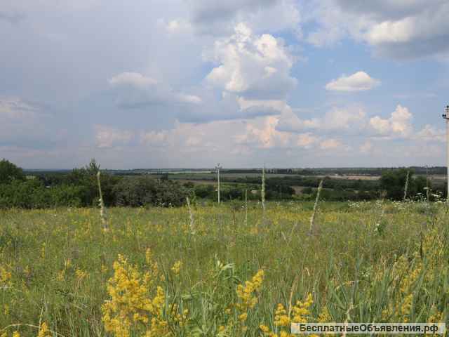 Земельный участок в сот Технолог