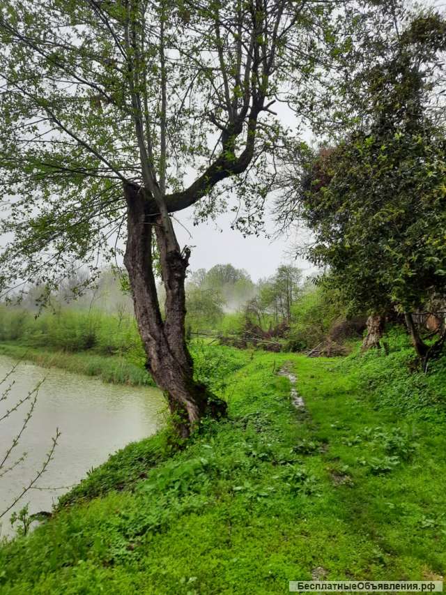 Земельного участка 90 сот в Сочи (Вардане-Верино)