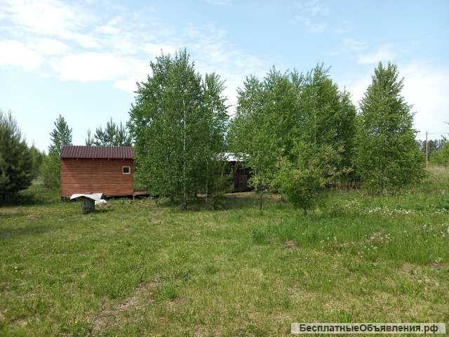 Дача с новой баней