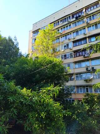 2-комн кв в Сочи у моря