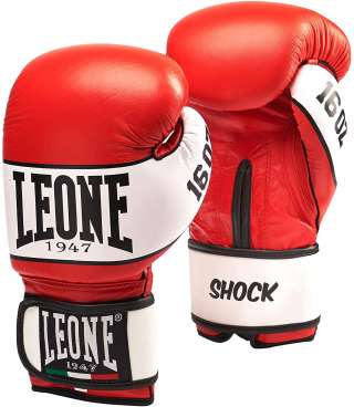 Боксерские перчатки Leone