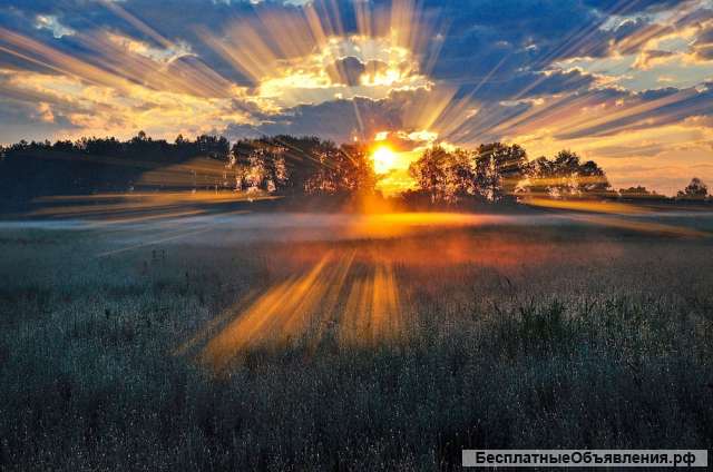 Консультация по программе "Возрождение России"