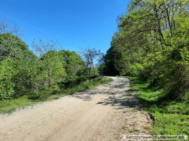 Земельного участка 50 сот в Сочи (с. Вардане-Верино)