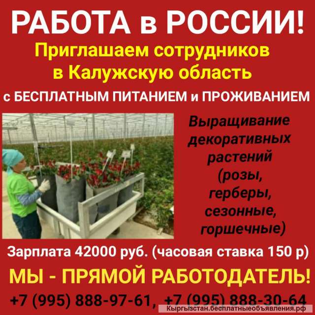 Работа в России. Приглашаем сотрудников в Калужскую область с бесплатным питанием и проживанием