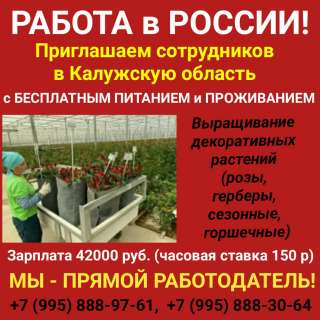Работа в России. Приглашаем сотрудников в Калужскую область с бесплатным питанием и проживанием