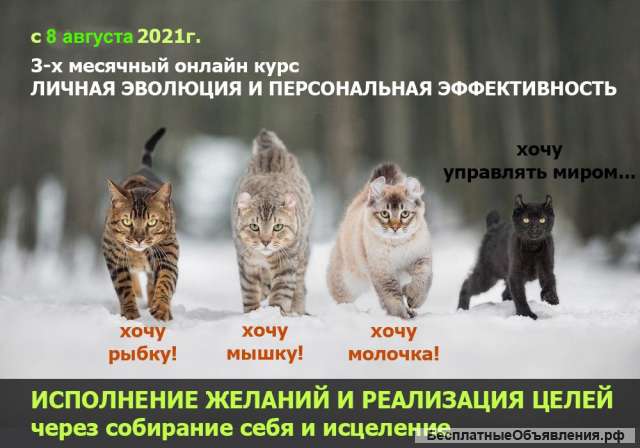Онлайн-курс Личной Эволюции и Персональной Эффективности