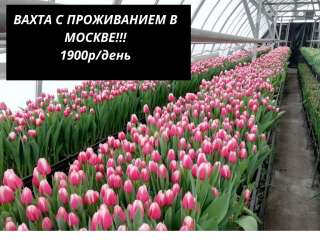 Разнорабочий