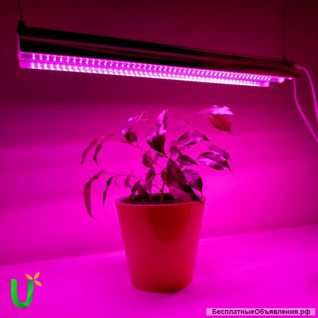 Светильник для растений фитолампа для рассады светодиодная