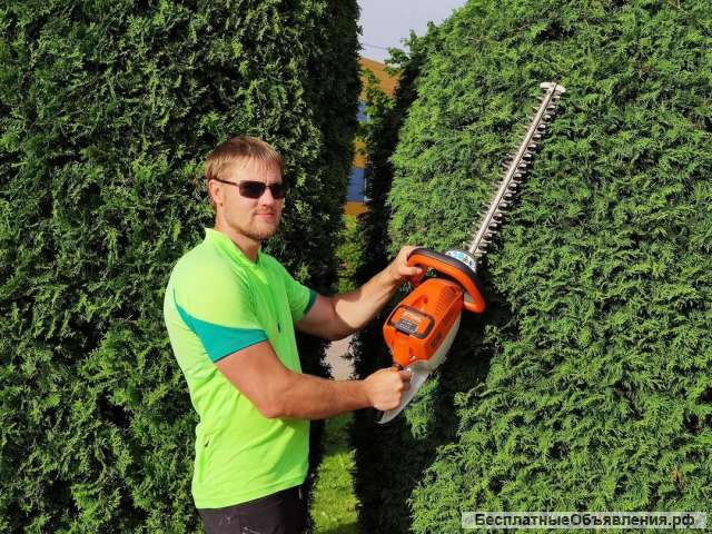 Стрижка и обрезка деревьев