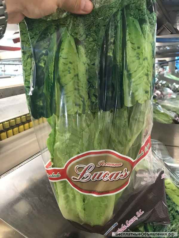 Салаты