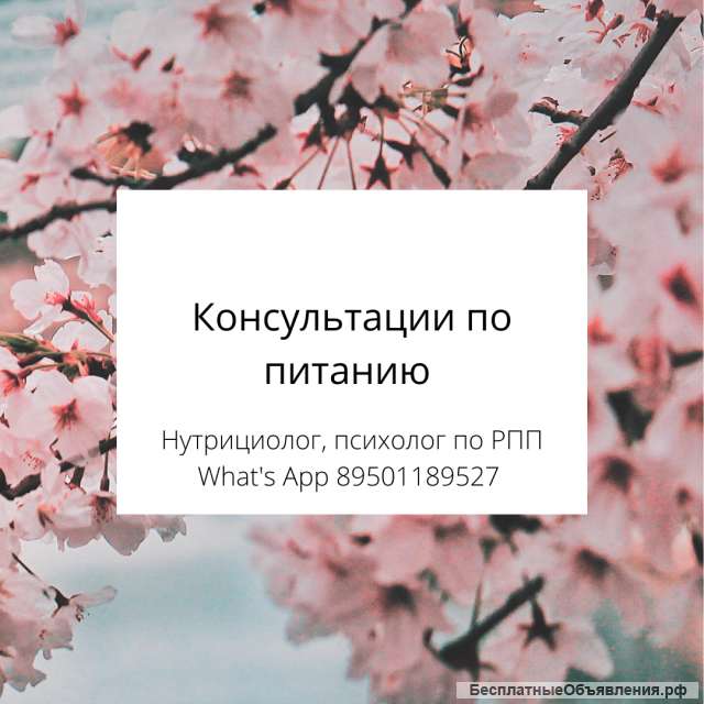 Консультации по питанию, нутрициолог, психология РПП