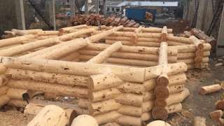 Дом из Кедра, Листв. Сруб дома, баня, беседки на всей территории РФ.