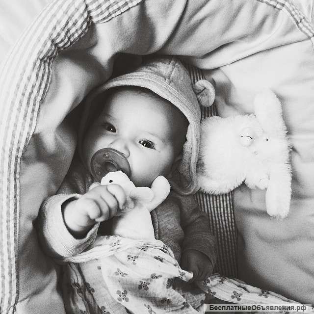 Детские Фото Грудничков