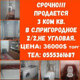 3-х комнатная квартира в с. Пригородное