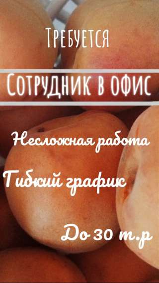 Сотрудник в офис