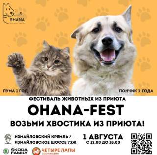 Фестиваль домашних животных