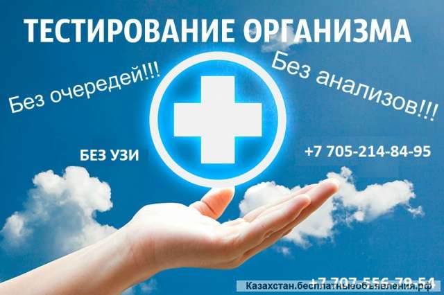 Тестирование всего организма