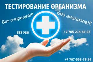 Тестирование всего организма