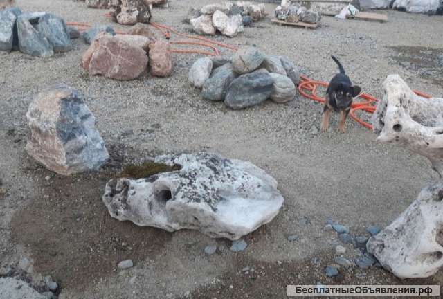 Природные валуны