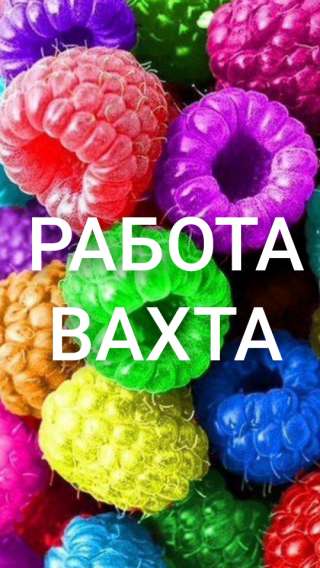 Упаковщица (щик) вахтой с питанием, жильём, без опыта, оформление и заселение сразу