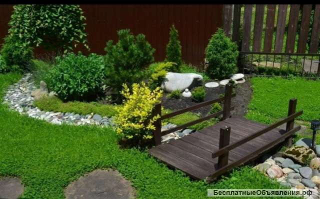 Посадка растений