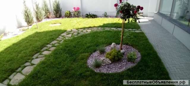 Посадка растений