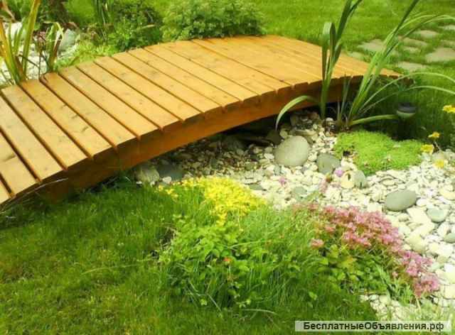 Посадка растений