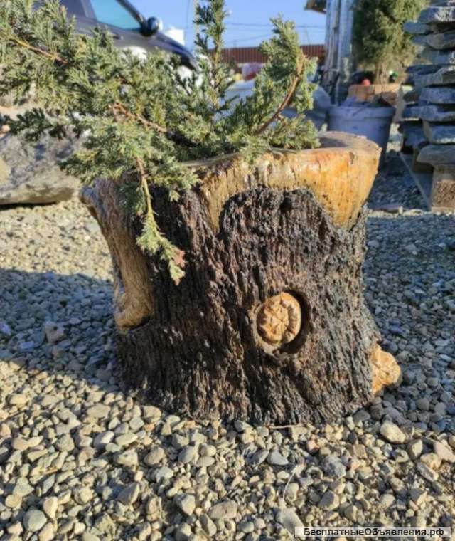 Вазон бетонный