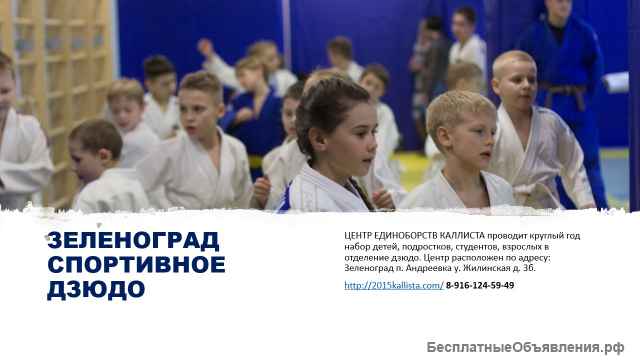 Центр Зеленоградского дзюдо. Школа единоборств Каллиста.