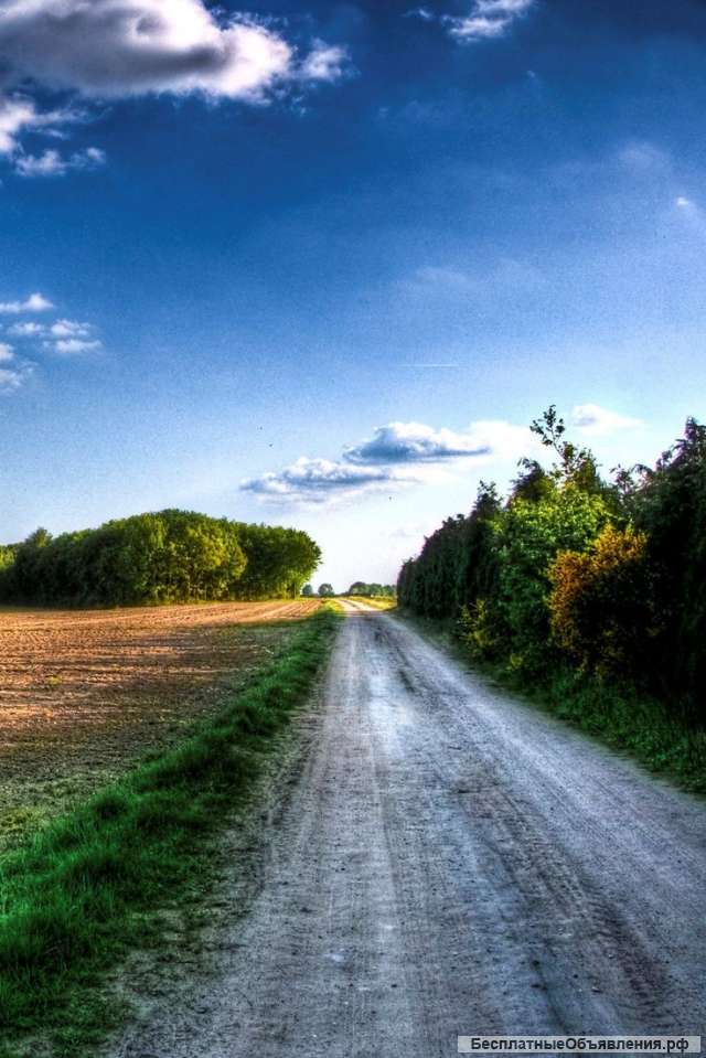 Требуются модели Девушки