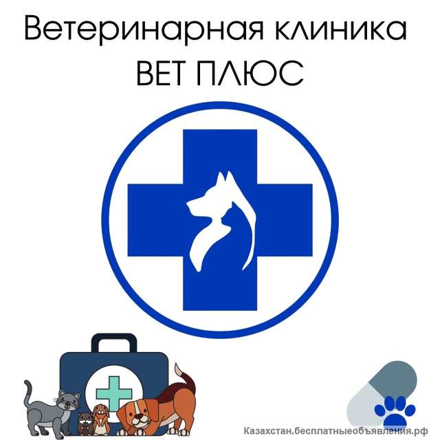 Ветеринарная клиника ВЕТ ПЛЮС в Алматы