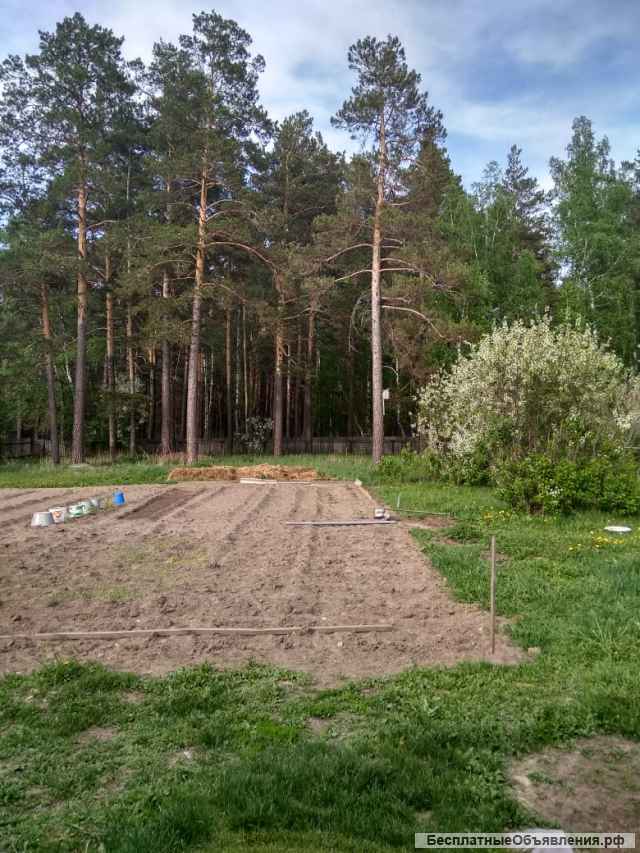 Дом, с. Нижнекаменка, ул.Боровая 2
