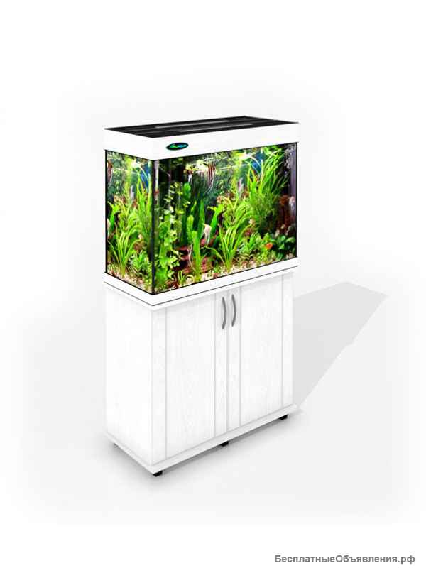 Магазин аквариумов и террариумов