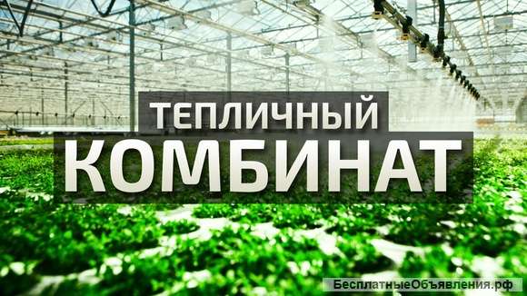 Упаковщик вахта (теплица)