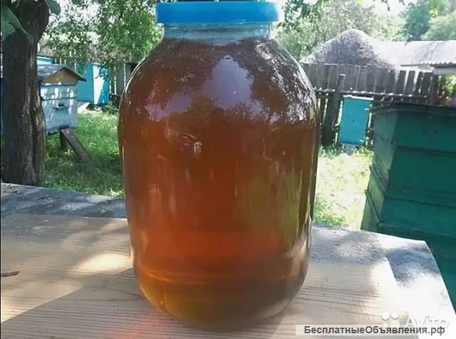 Мед разнотравье