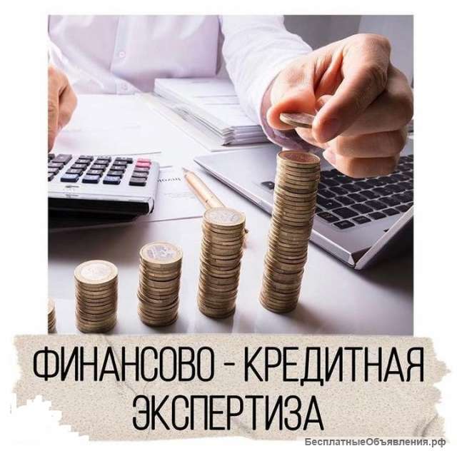 Финансово - экономическая экспертиза