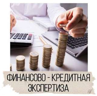 Финансово - экономическая экспертиза