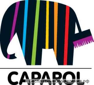 Противогрибковая пропитка