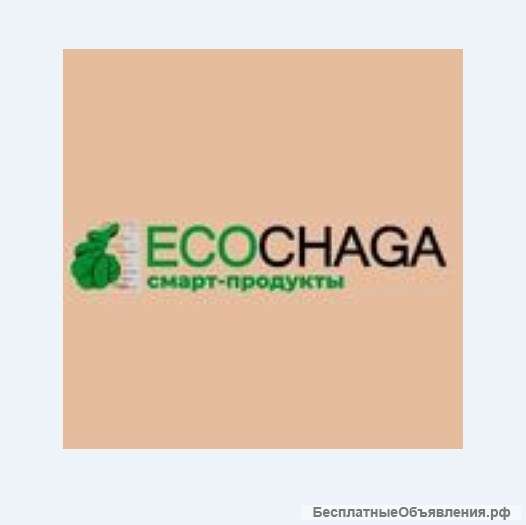 Березовый гриб чага от производителя