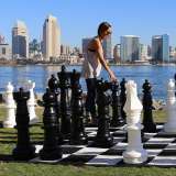 Шахматы парковые (напольные, гигантские, уличные)