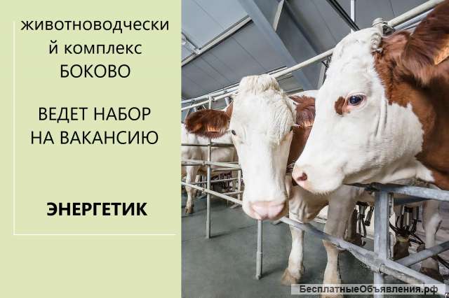Энергетик в с/х
