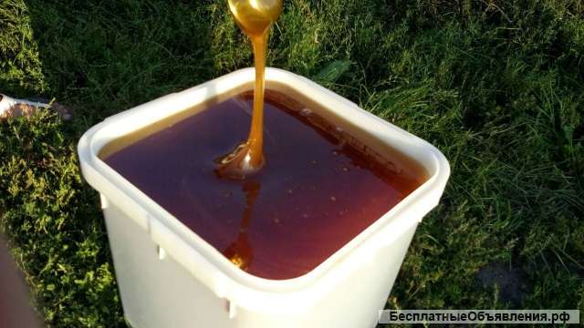 Мёд гречка+цветок 2021