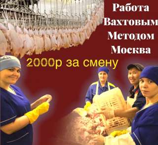 Вахта в Москве упаковщик(ца) на птицефабрику