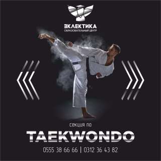 Таеквон-до (тхеквондо, taekwondo Набор в группы уже открыт