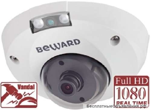 IP камера BM2710DMR