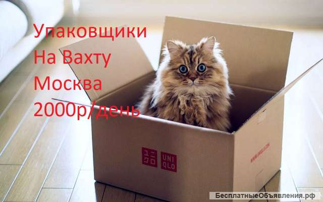Упаковщики на Вахту